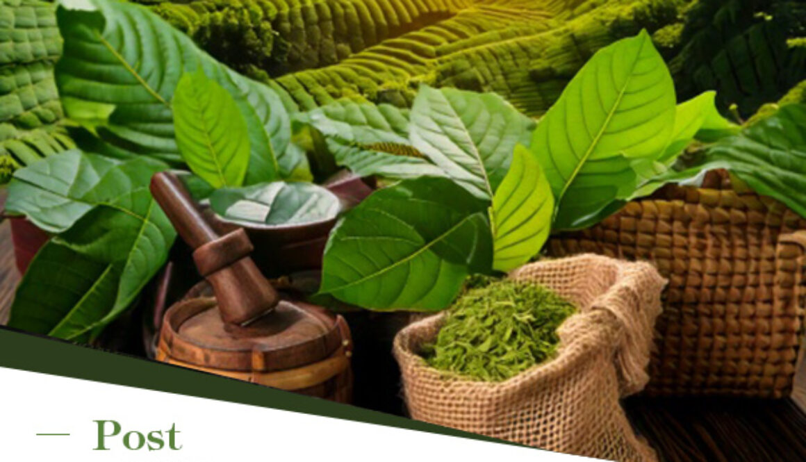Complete Guide to Exporting Kratom from Indonesia to the USA