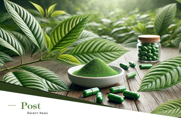 Exploring the Health Benefits of Kratom (Mitragyna Speciosa)
