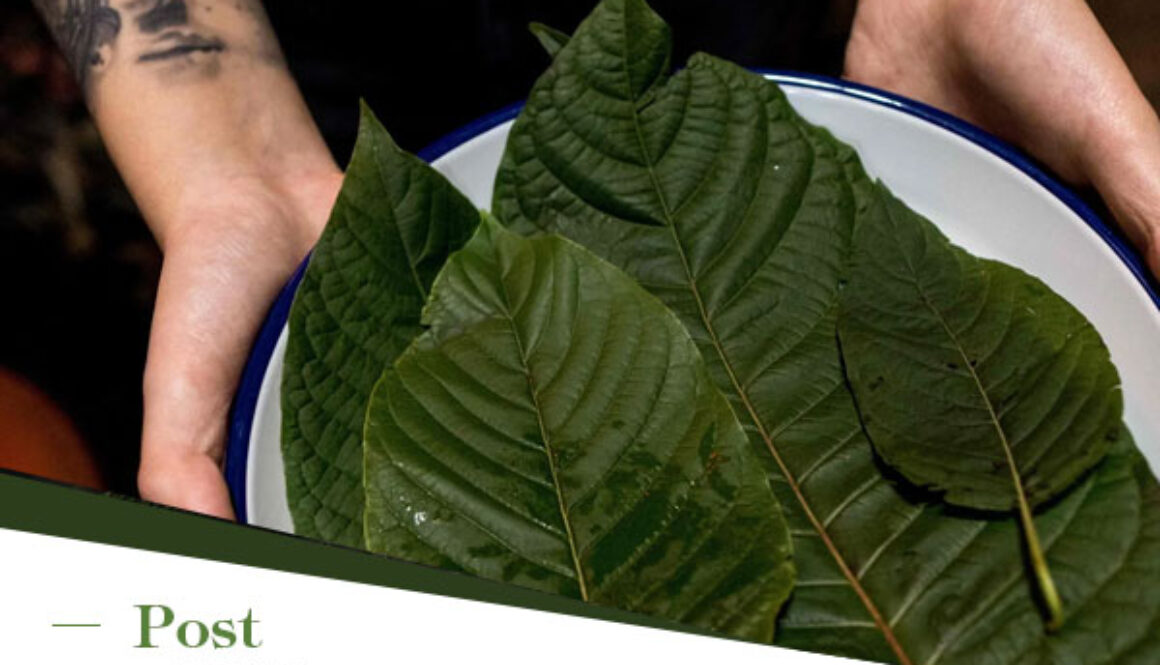 Is Kratom Safe? A Comprehensive Review of Risks and Side Effects