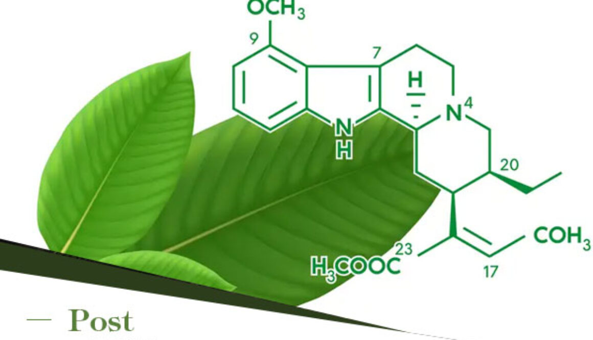 Kratom Dosage Guide: Finding the Right Amount for You