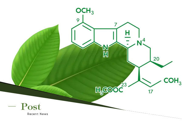 Kratom Dosage Guide: Finding the Right Amount for You