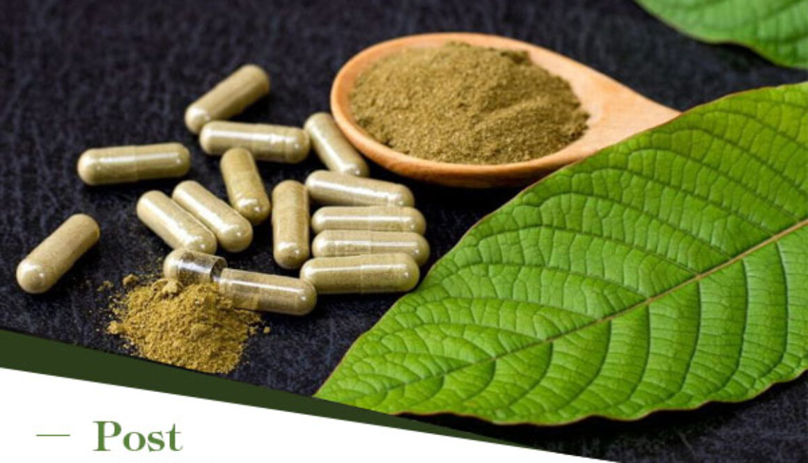 Kratom-Mitragyna-Speciosa-in-Traditional-Medicine