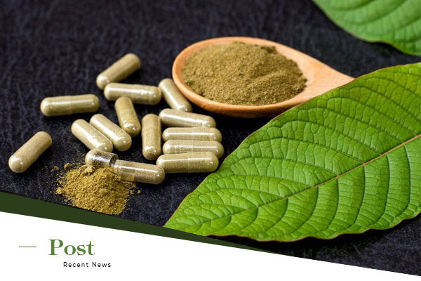 Kratom-Mitragyna-Speciosa-in-Traditional-Medicine