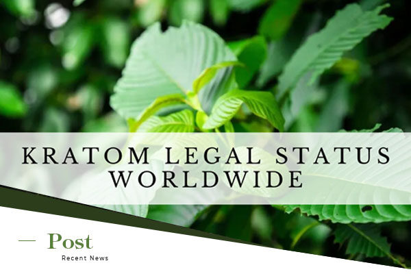 The Legal Status of Kratom: What You Need to Know
