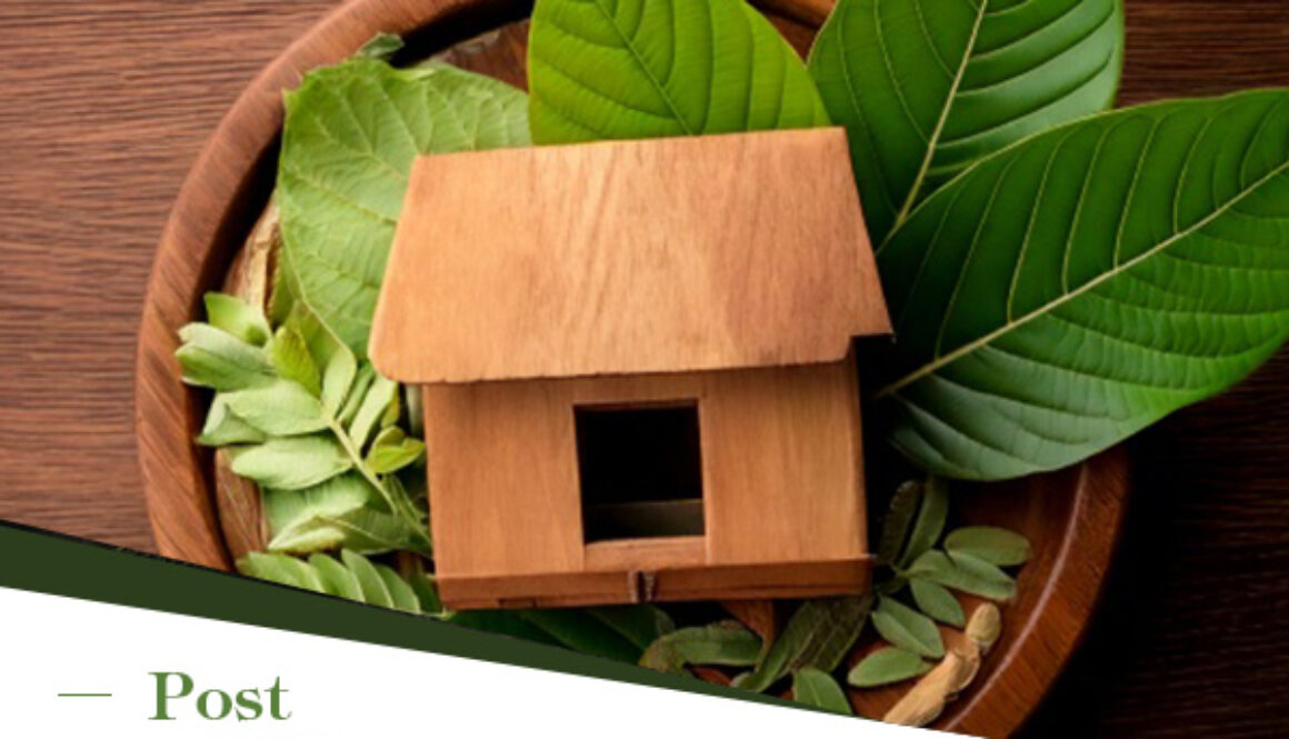 What Is Kratom Benefits, Legality, and Export Potential