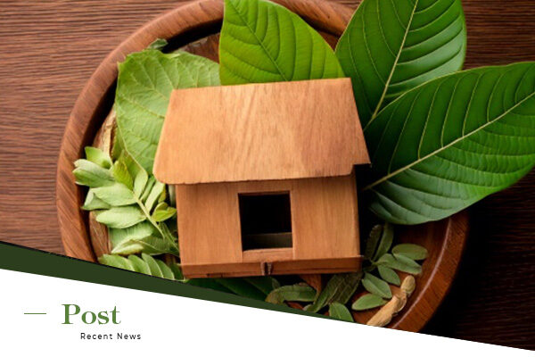 What Is Kratom Benefits, Legality, and Export Potential