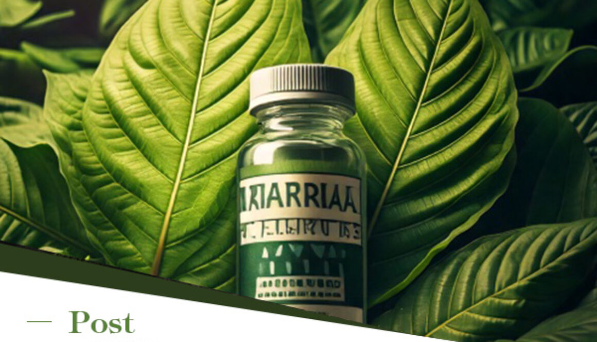 Lab Testing and Quality Control in the Kratom Export Industry