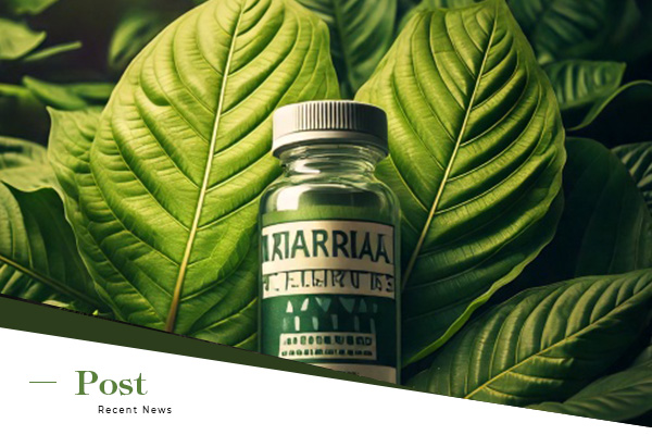 Lab Testing and Quality Control in the Kratom Export Industry