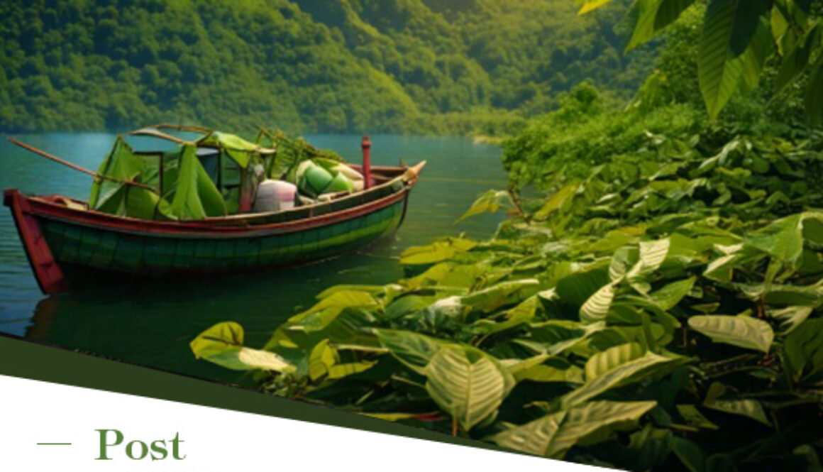 Packaging and Shipping Kratom for Export Best Practices for U.S. Compliance