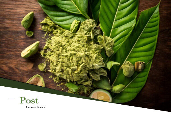 Top Kratom Strains for Export and How They Differ