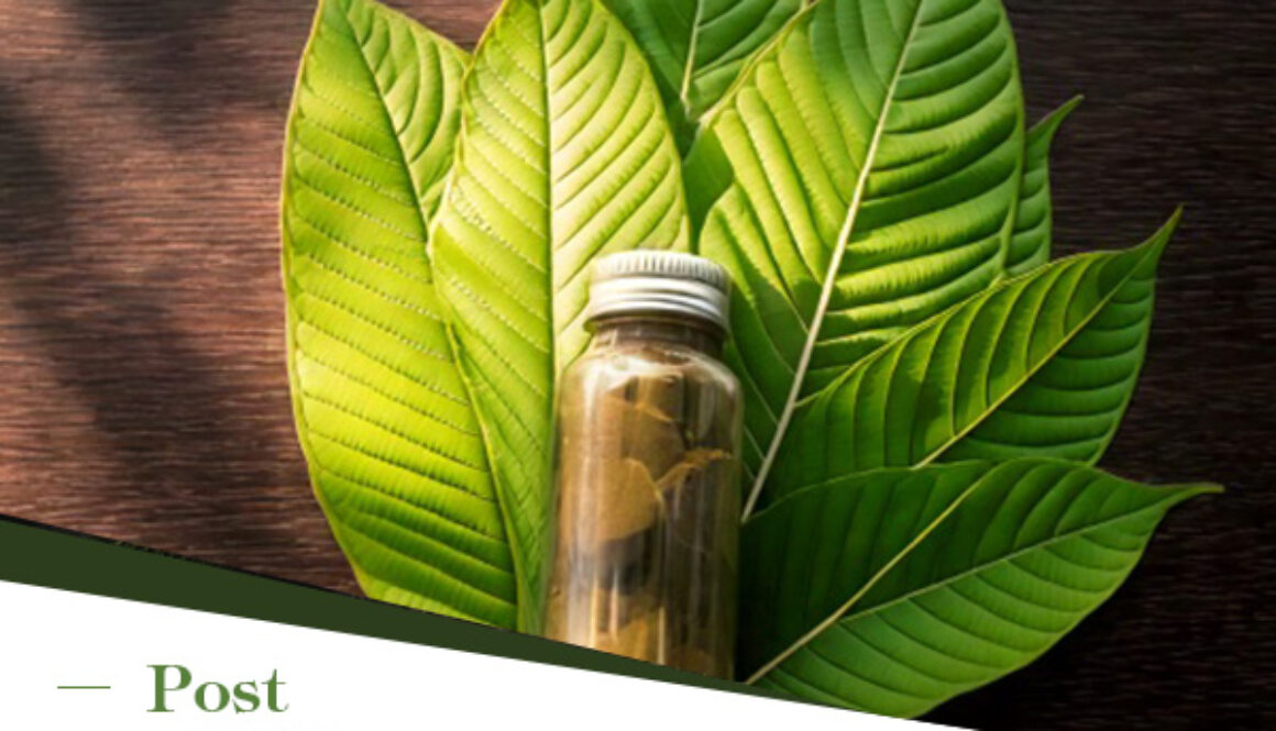 Why Indonesian Kratom Is in High Demand Worldwide