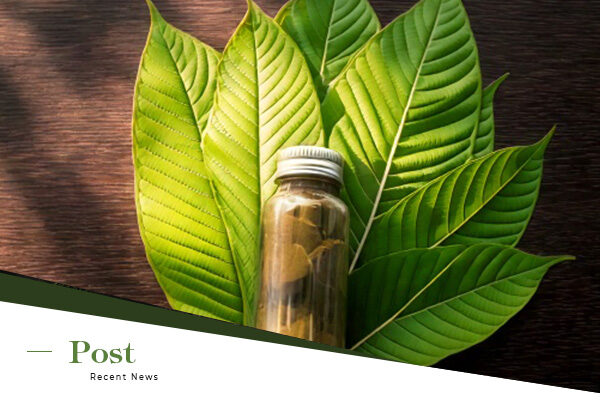 Why Indonesian Kratom Is in High Demand Worldwide
